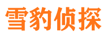 左云市侦探公司